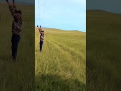 Panneau de clôture de bétail galvanisée à chaud 8 pieds de hauteur de clôture de treillis métallique à noeud fixe