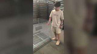 Cage de stockage en treillis métallique pliable robuste pour entrepôts