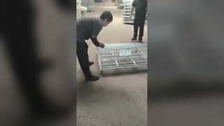 Cages de stockage pliables résistantes de grillage pour des entrepôts