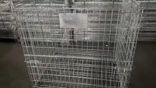 Cages résistantes de stockage de grillage pliables
