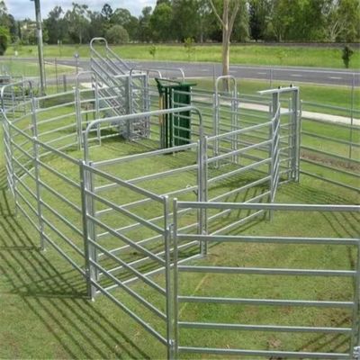 Galvanized Welded Pipe Cattle Fence Panel 8FT Horse Farm Fencing Panels