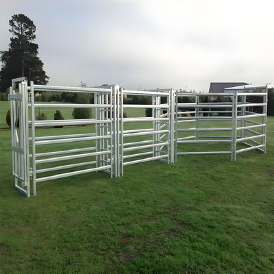 Galvanized Welded Pipe Cattle Fence Panel 8FT Horse Farm Fencing Panels