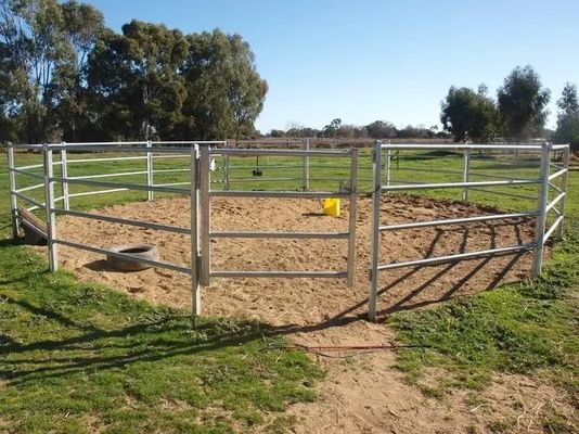 Galvanized Welded Pipe Cattle Fence Panel 8FT Horse Farm Fencing Panels