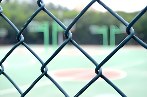 PVC Coated Chain Link Fence Building Walls Hot Dipped Galvanized Diamond Enclosure Cyclone Wire Mesh