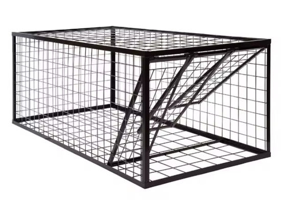 10" Foldable Wire Mesh Mouse Rat Hamster Rabbit Cat Skunk Fox Squirrel Catcher Cage