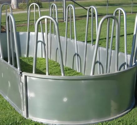 Galvanized Feeder With Tombstone Railings For Cattle 12 Feed Openings