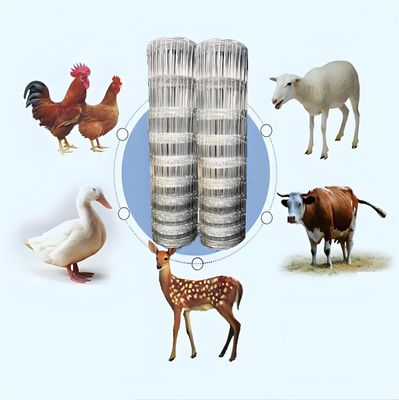 2.0MM haute résistance à la traction fil galvanisé Ferme de bétail clôture pour les légumes