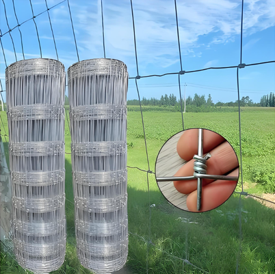 Prairie galvanisée par électro clôturant le petit pain de barrière de pâturage de longueur du joint 1.8m de charnière de taille 100m